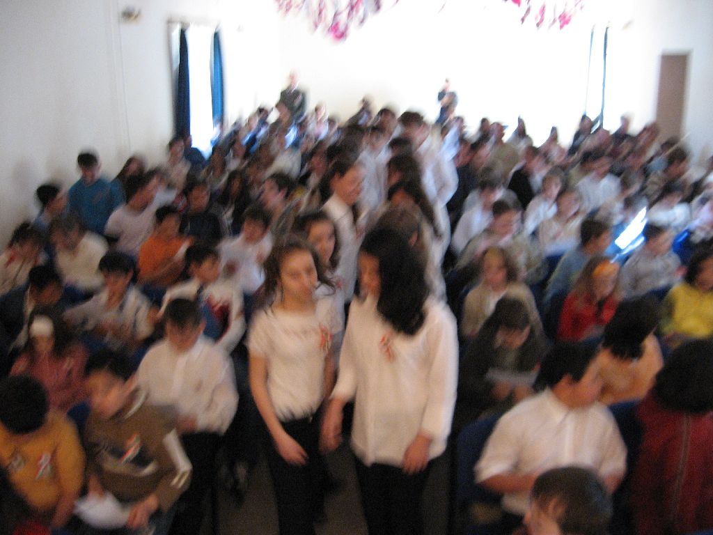 Kutyus 009